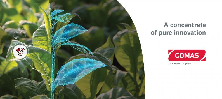 Tobacco Machinery for Tobacco's Industry | Comas Italy